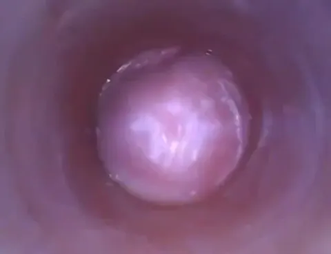 Muốn biết bên trong cái lồn như thế nào hãy xem video này